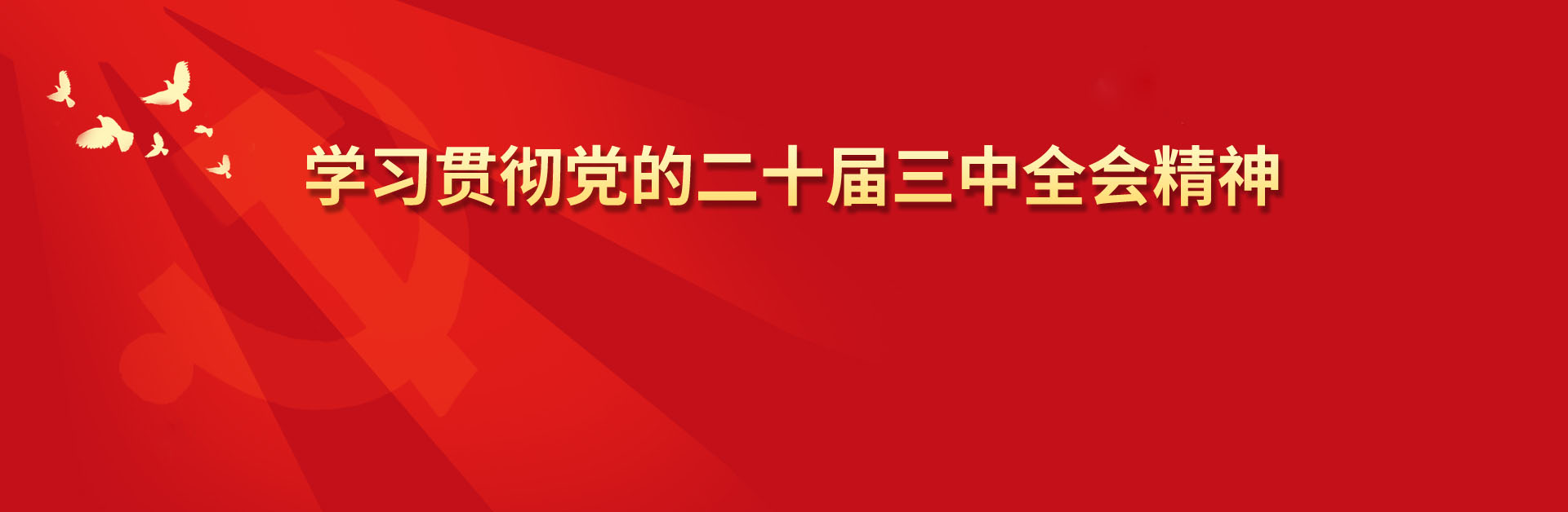 学习贯彻党的二十届三中全会精神